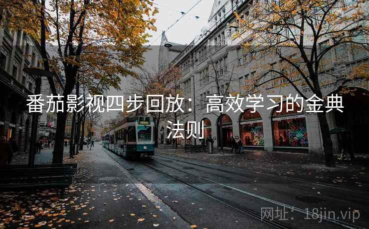 番茄影视四步回放:高效学习的金典法则 番茄影视四步回放:高效学习的金典法则