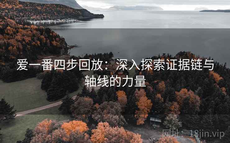 爱一番四步回放:深入探索证据链与轴线的力量 爱一番四步回放:深入探索证据链与轴线的力量